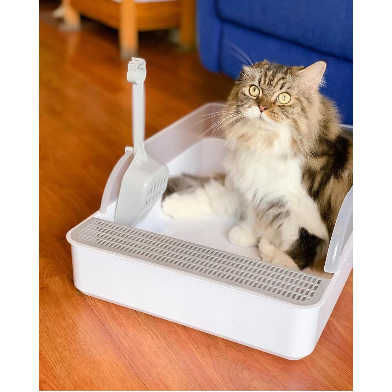 Arthacat Haipet Spacious Litter Box (White)