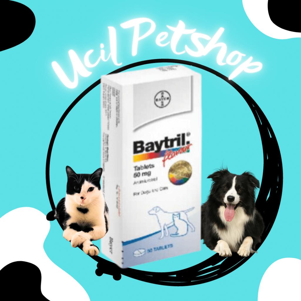 Baytril 50mg (1 tab)